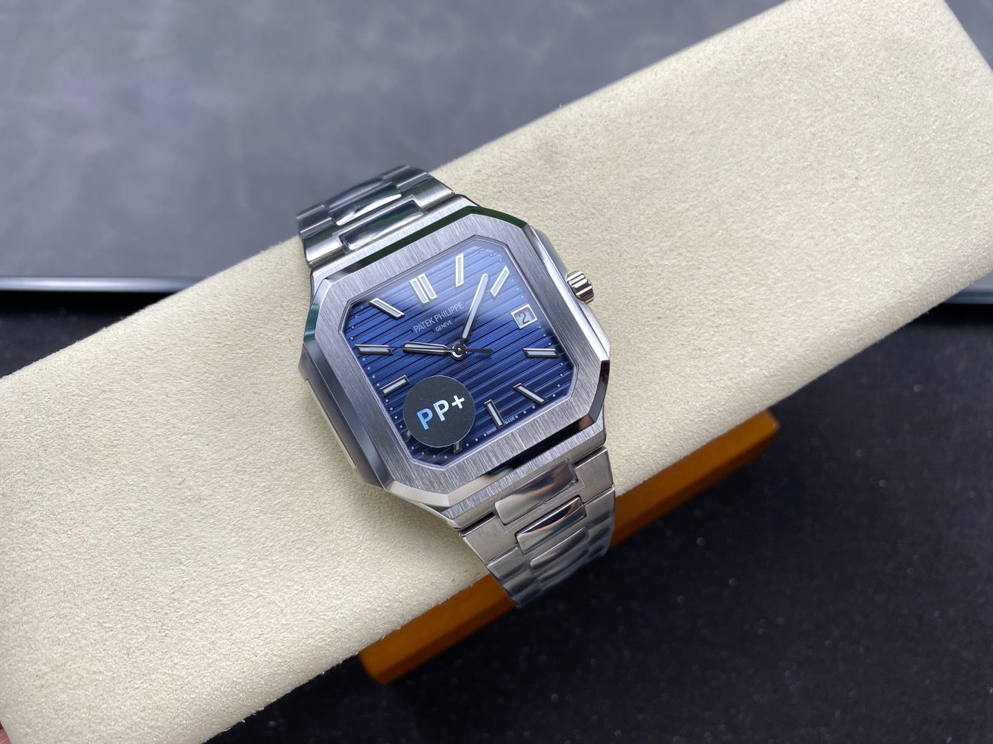 PP+ factory CUBITUS 5821