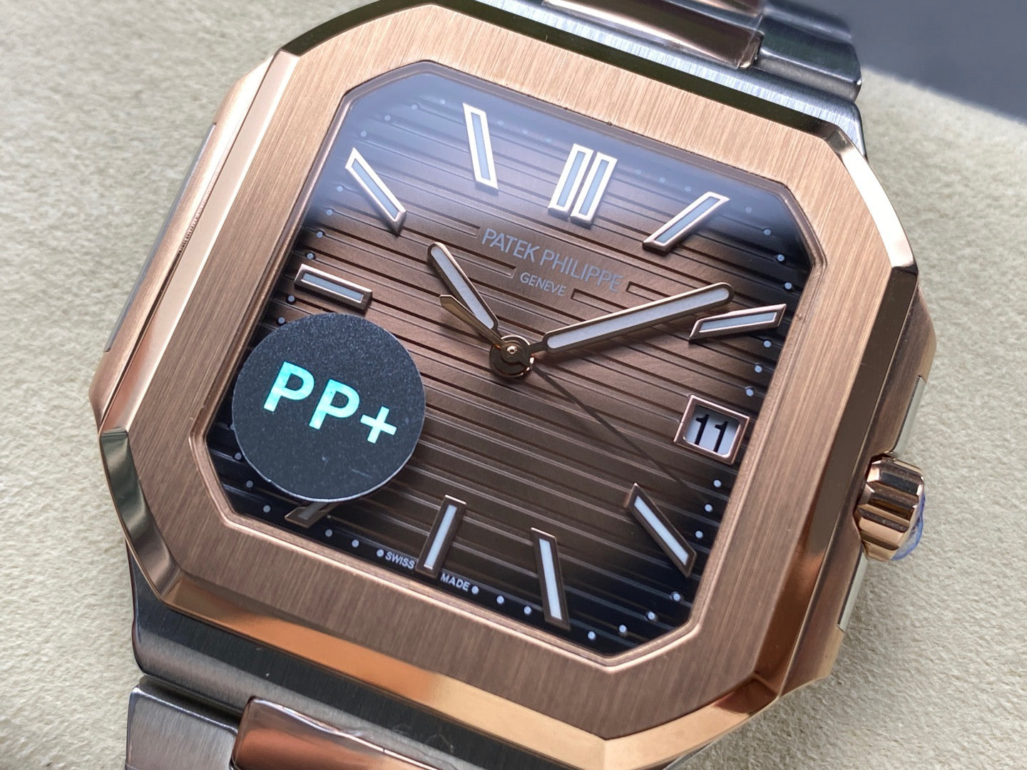 PP+ factory CUBITUS 5821