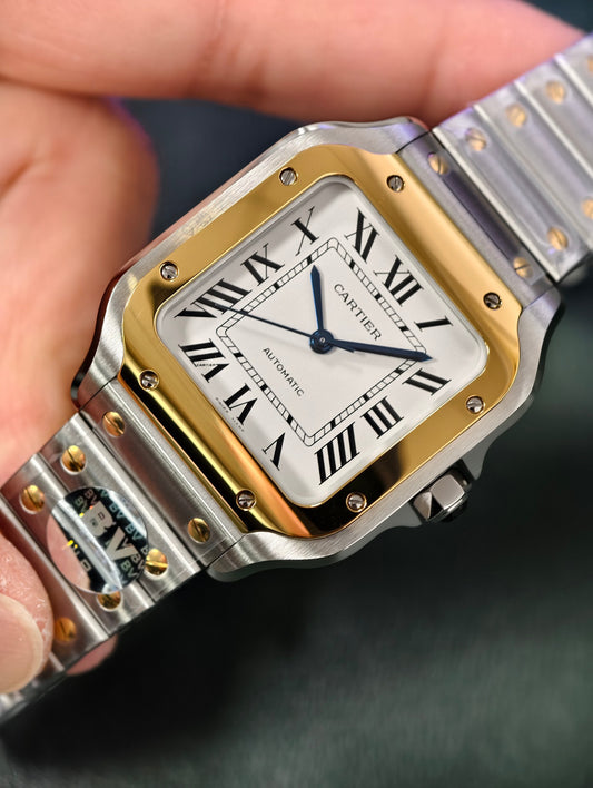 BV factory 35.1mm santos