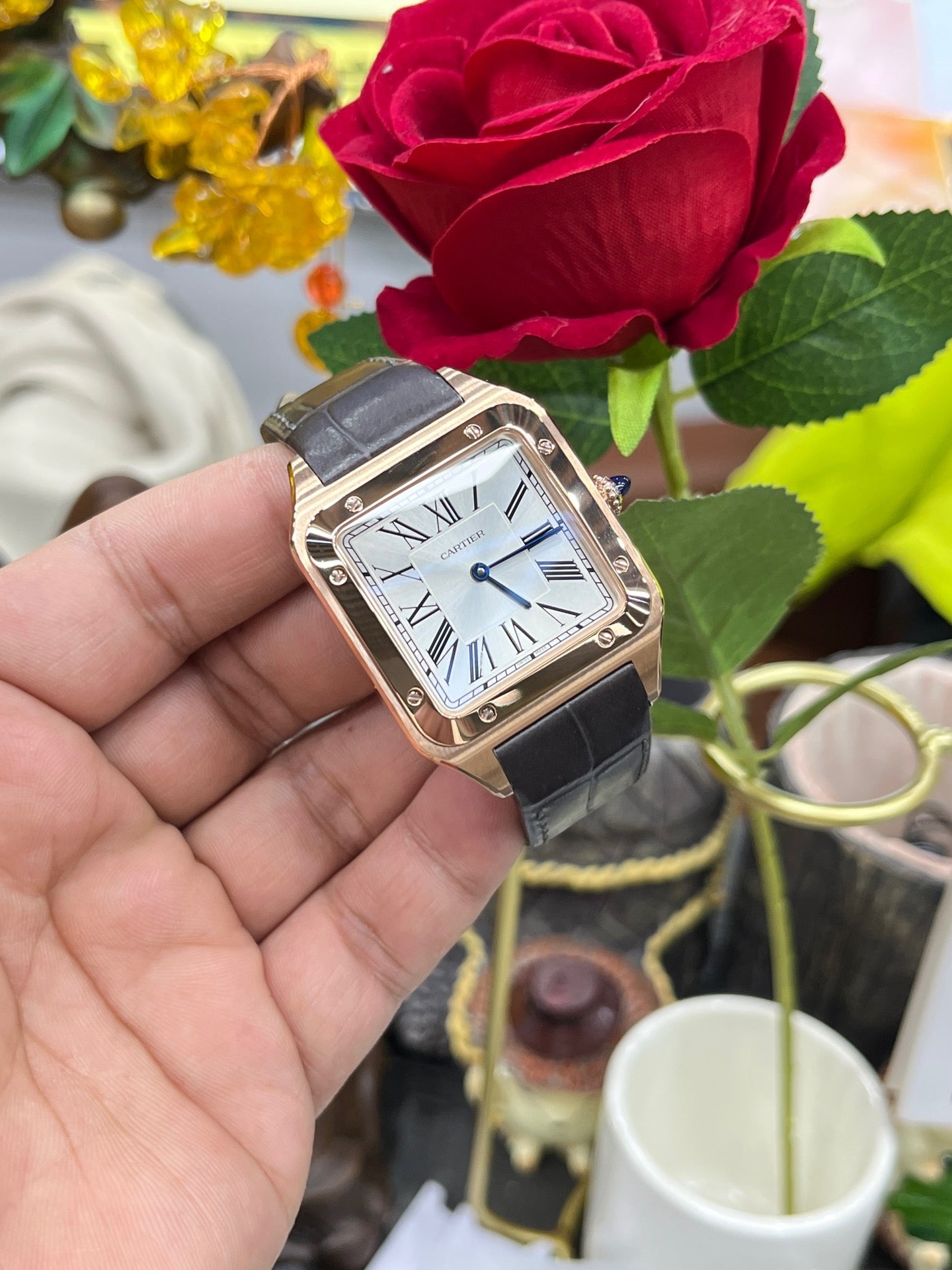 F1 factory Quartz santos