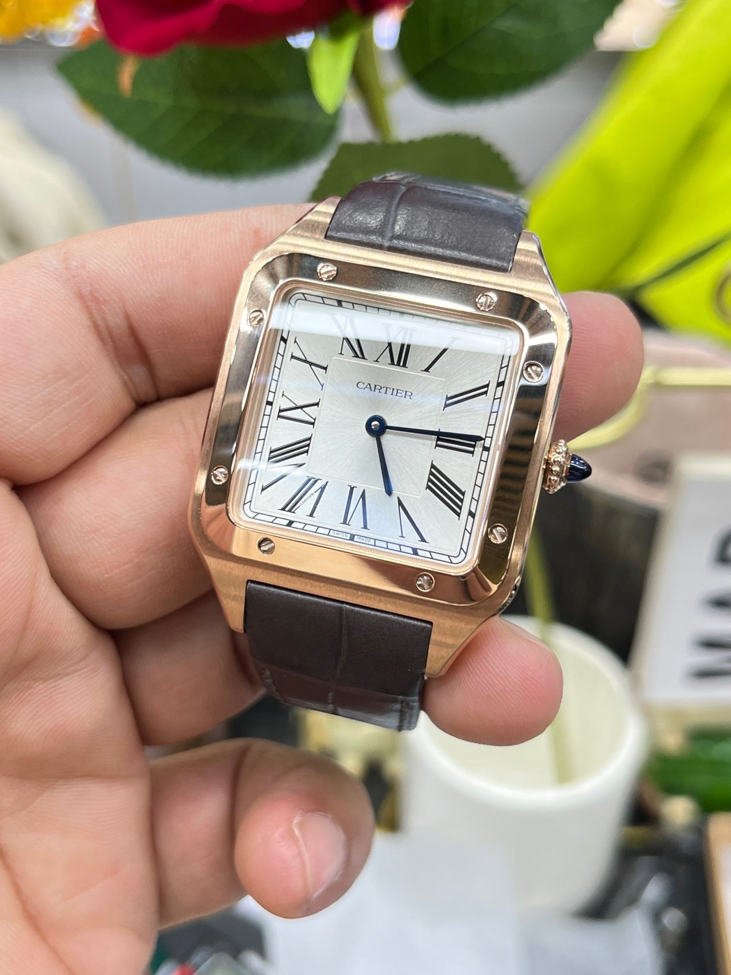 F1 factory Quartz santos