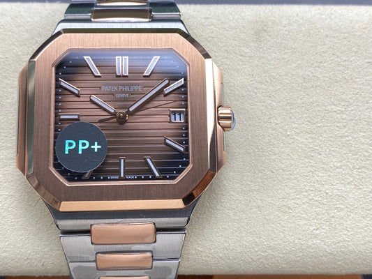 PP+ factory CUBITUS 5821