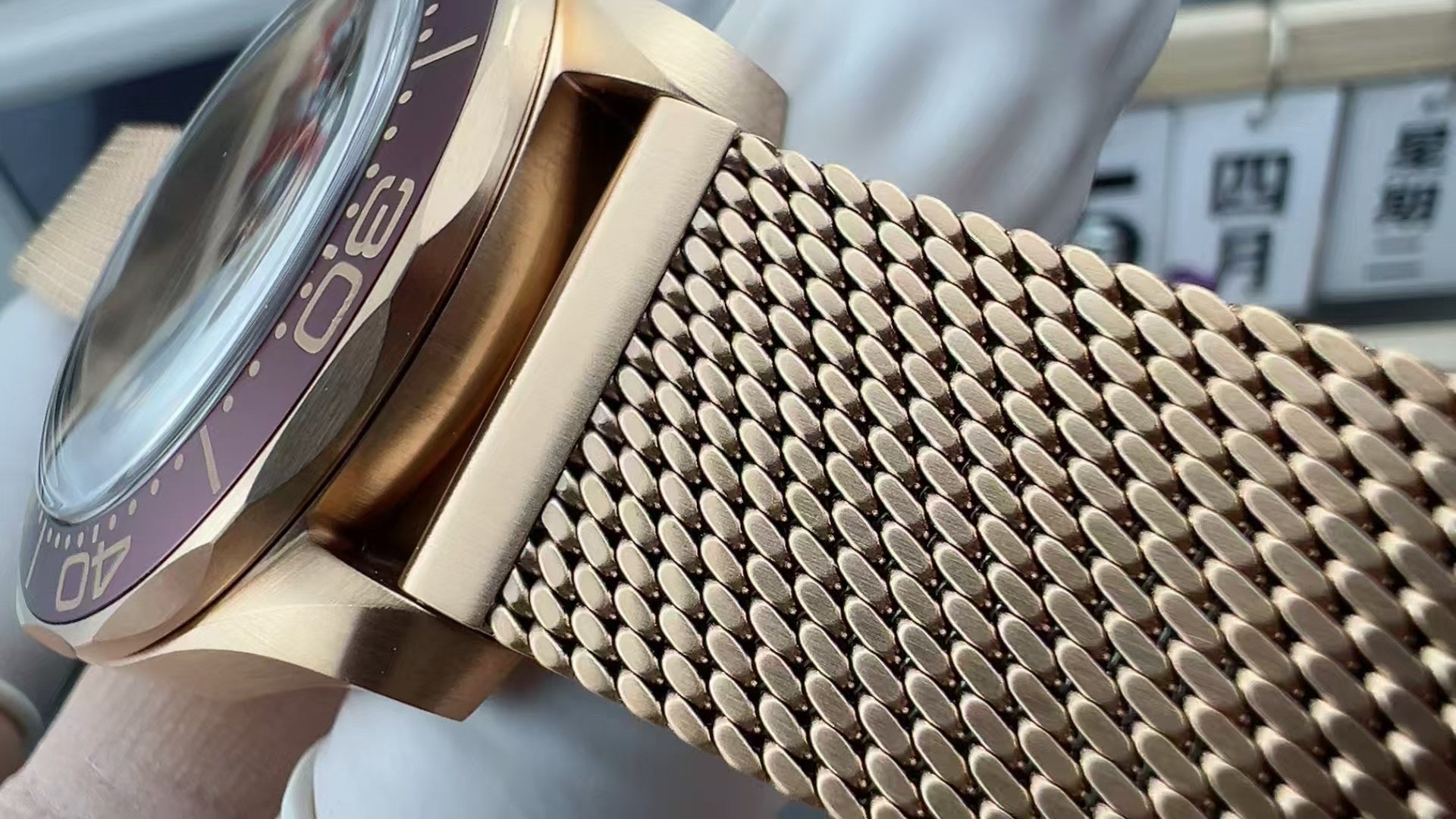 VS factory Bronze Gold seamaster300