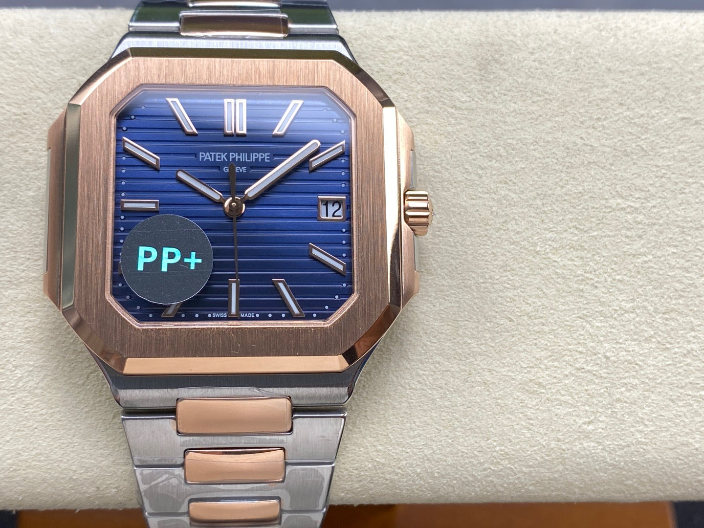 PP+ factory CUBITUS 5821