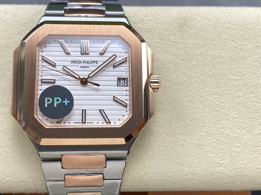 PP+ factory CUBITUS 5821