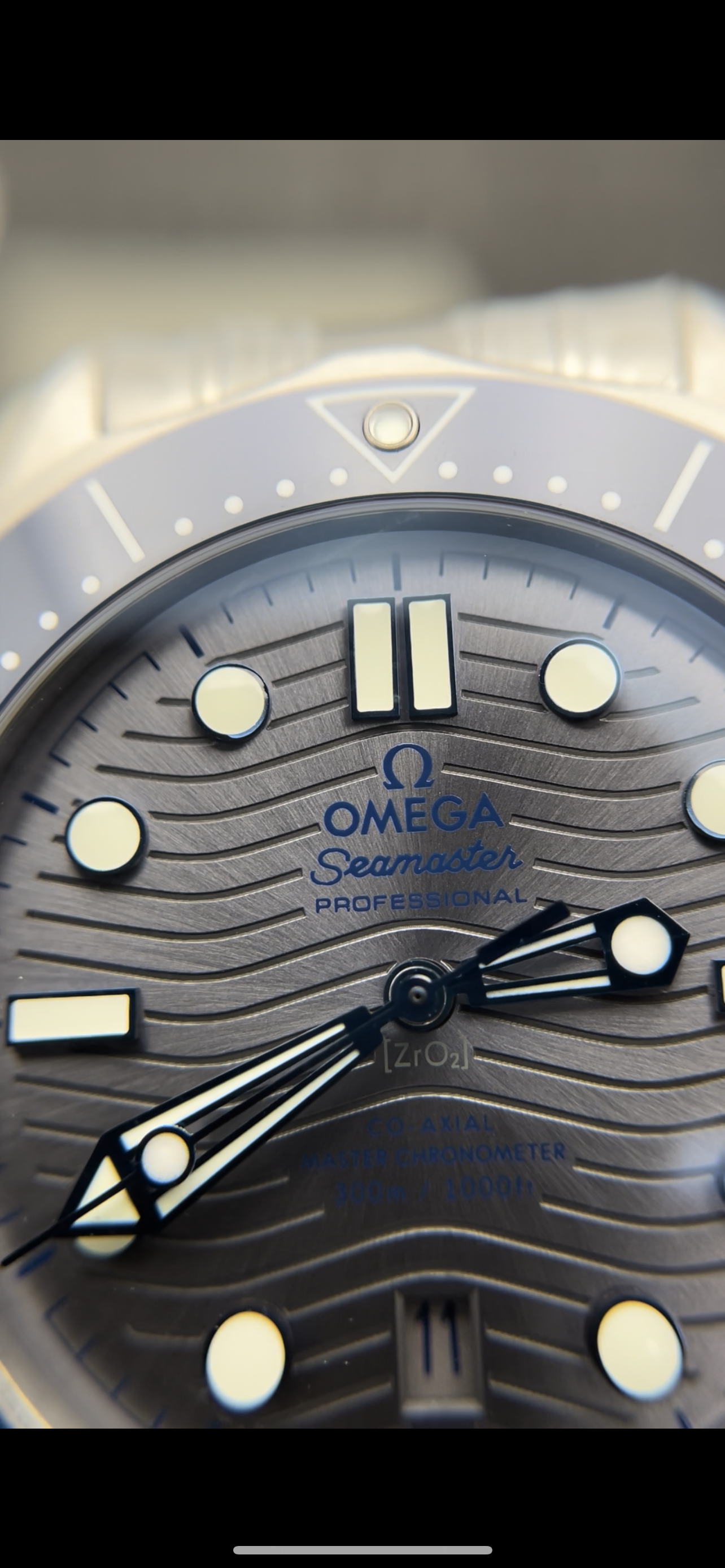 VS factory, 42mm SEA master300 V4 version