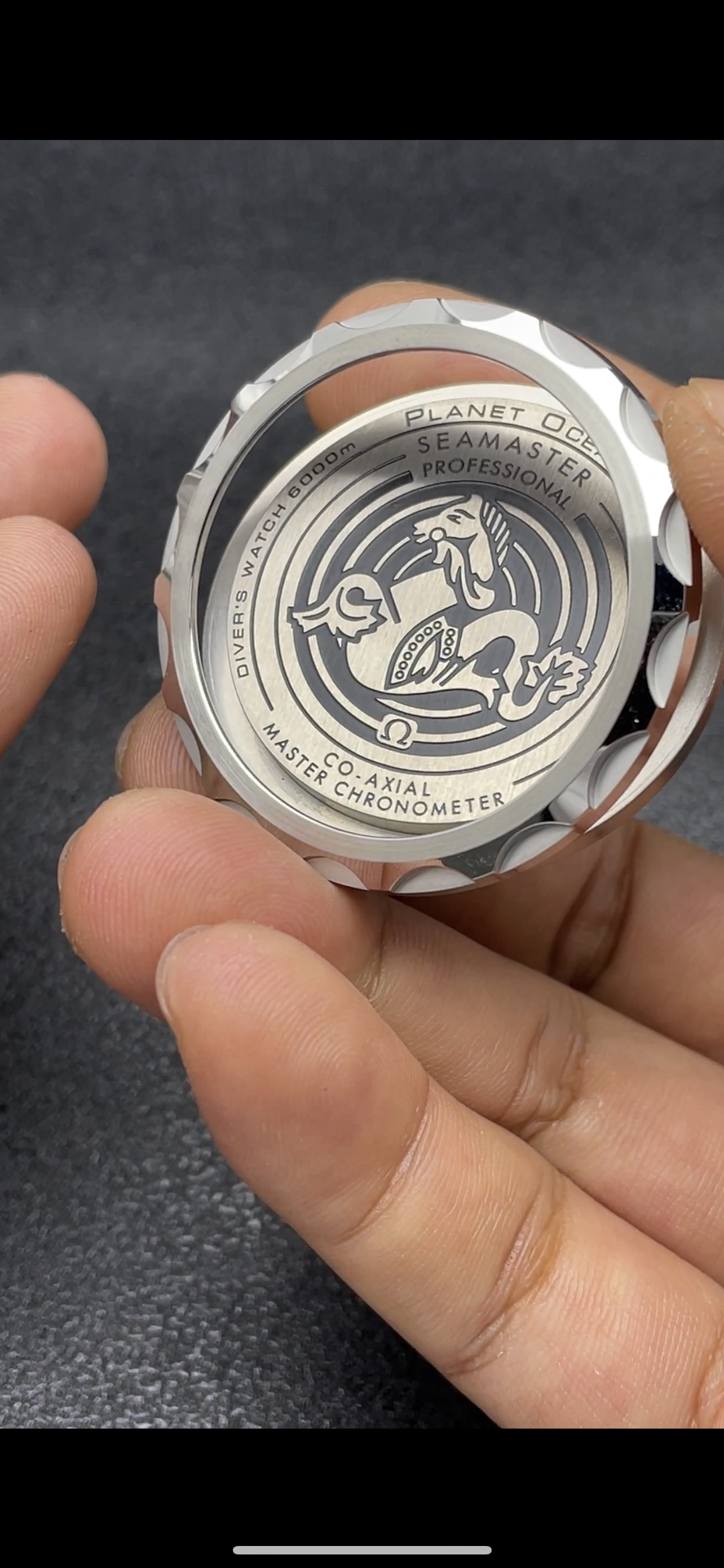 VS Factory 45.5mm SEAmaster
