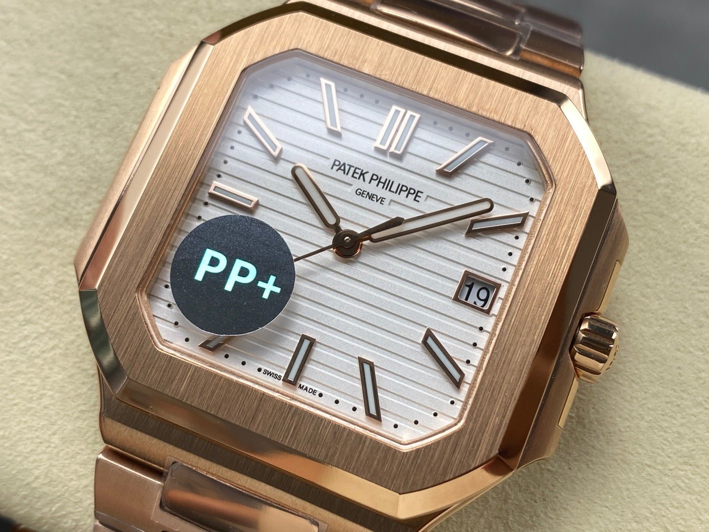 PP+ factory CUBITUS 5821