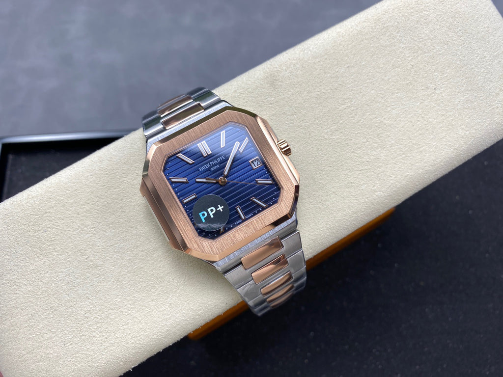 PP+ factory CUBITUS 5821