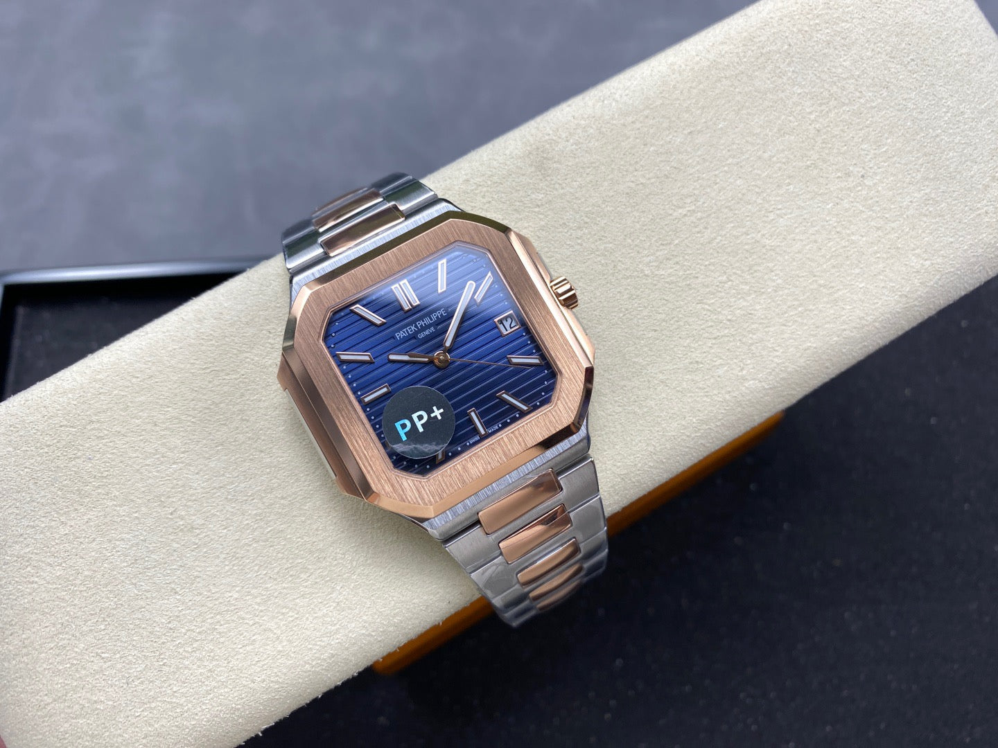 PP+ factory CUBITUS 5821
