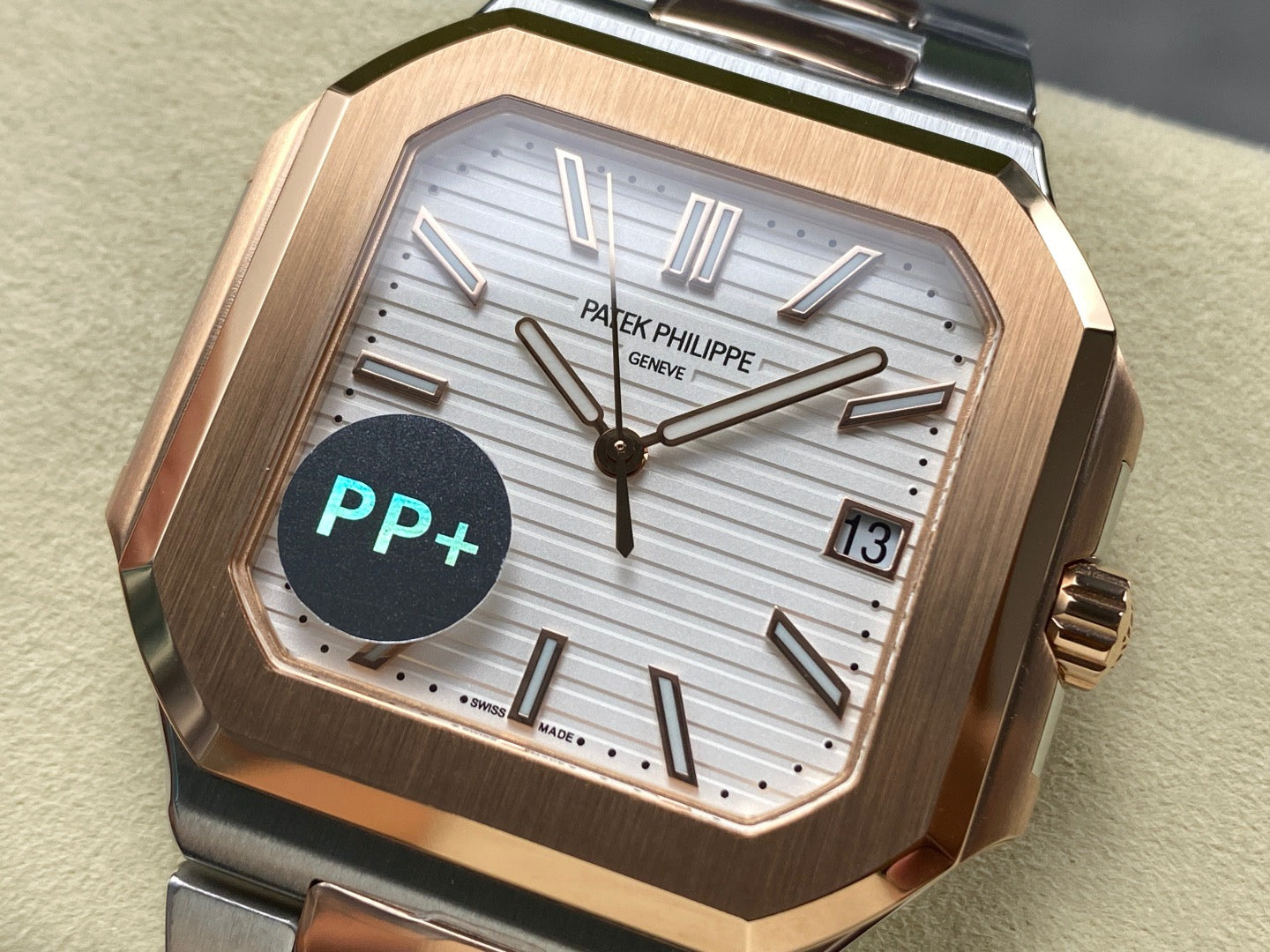 PP+ factory CUBITUS 5821