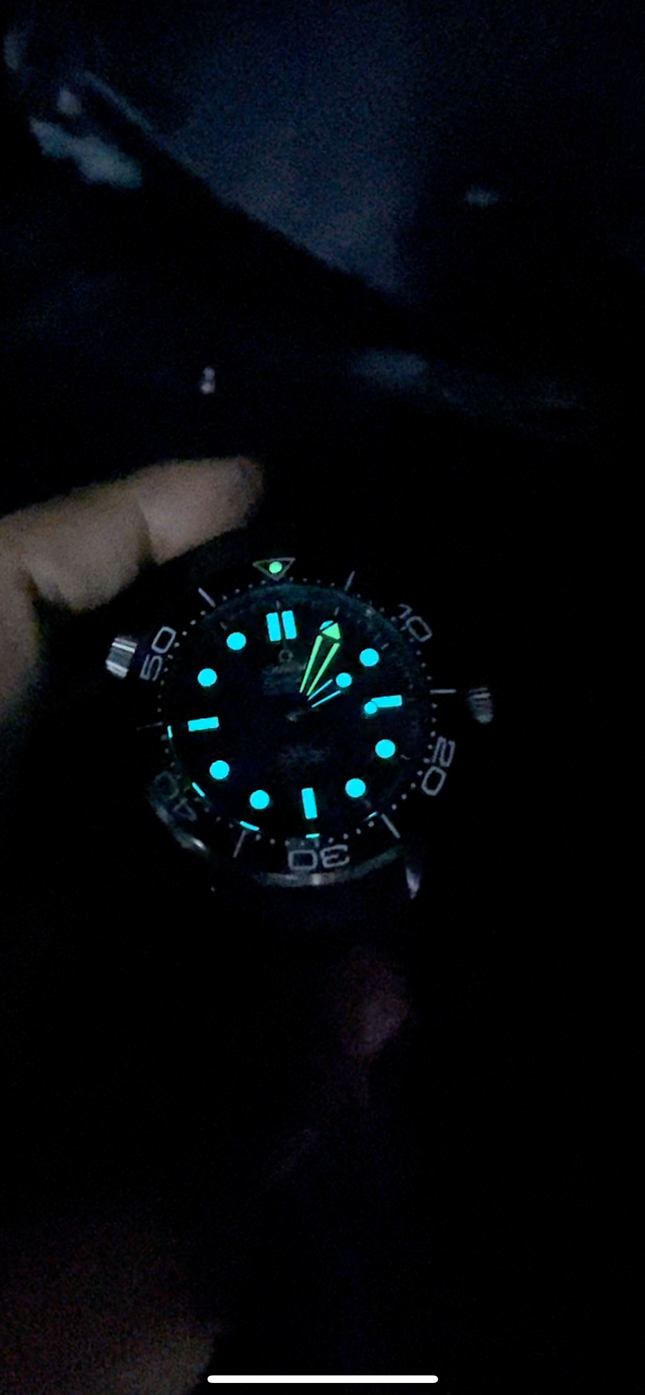 VS Factory 43.5mm SEAmaster300