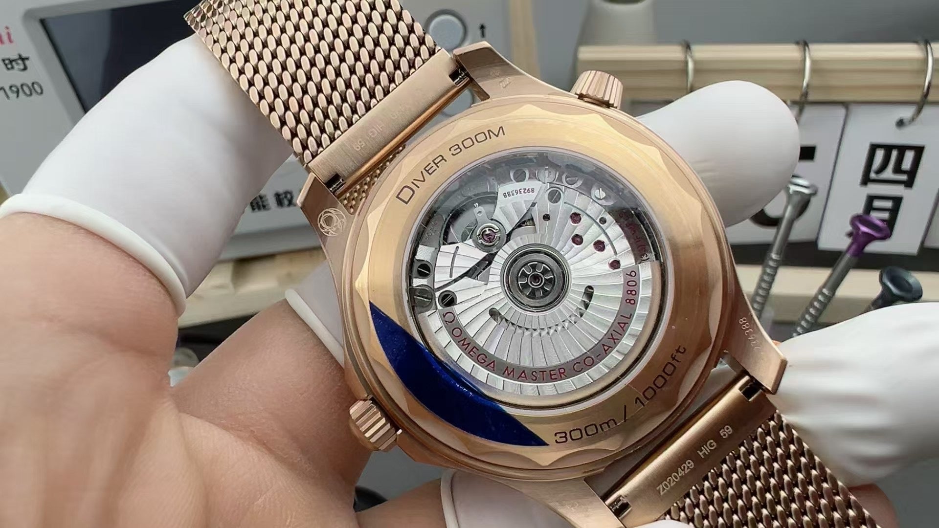 VS factory Bronze Gold seamaster300