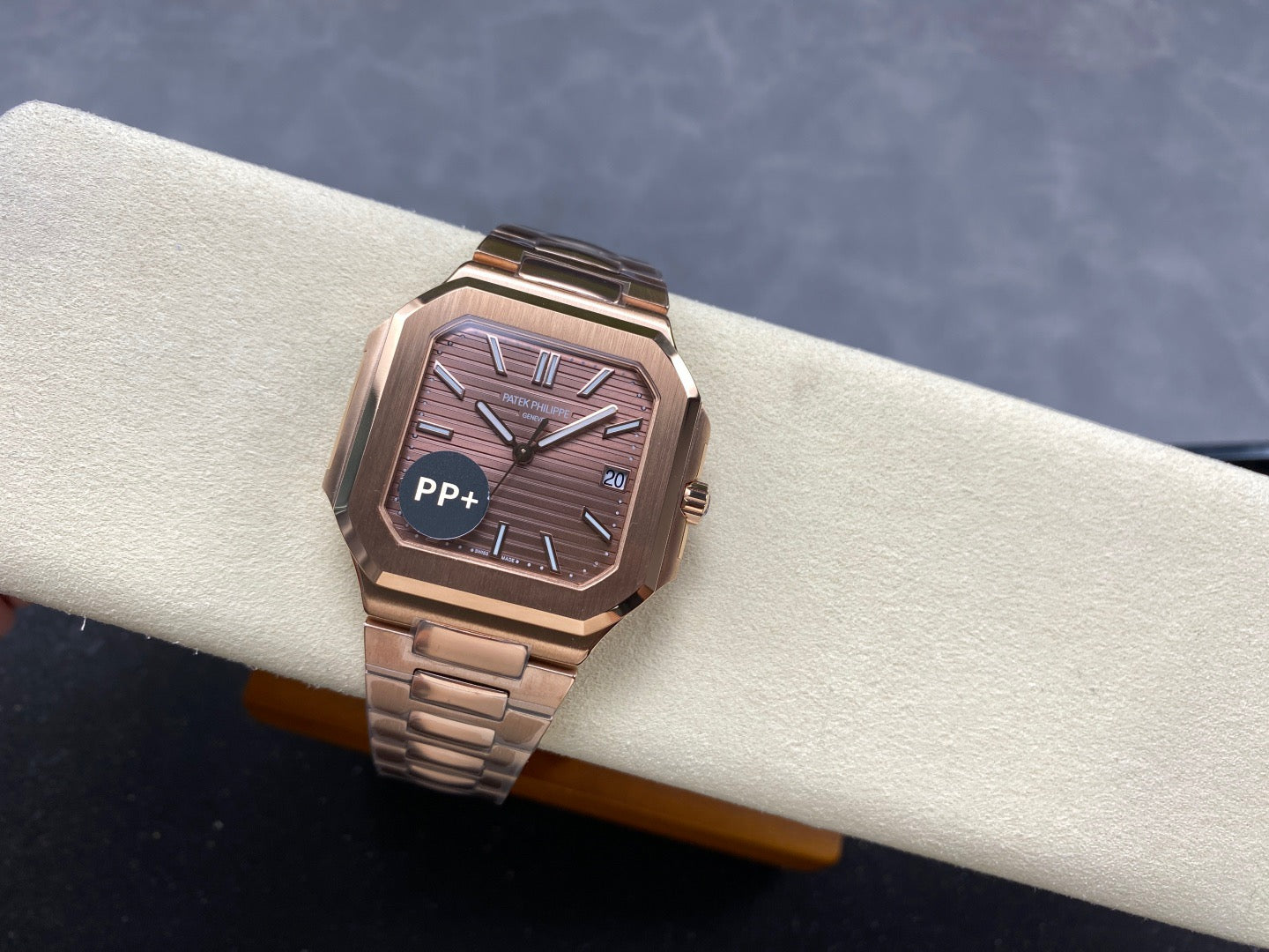 PP+ factory CUBITUS 5821