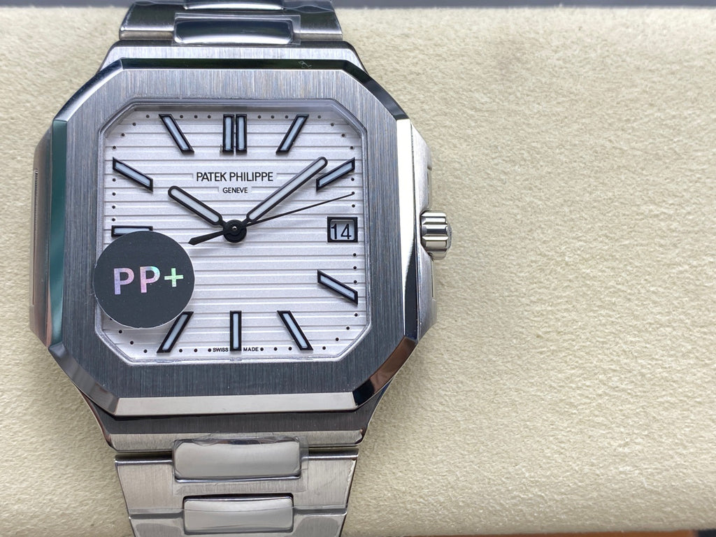 PP+ factory CUBITUS 5821